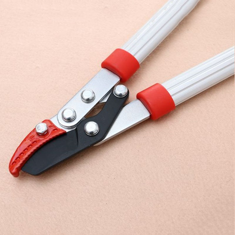 Gardening branches construction scissors