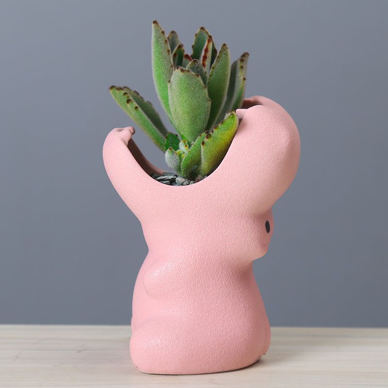 Gardening creative succulent flower pot